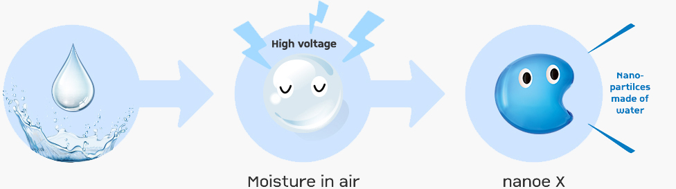 Making the particles